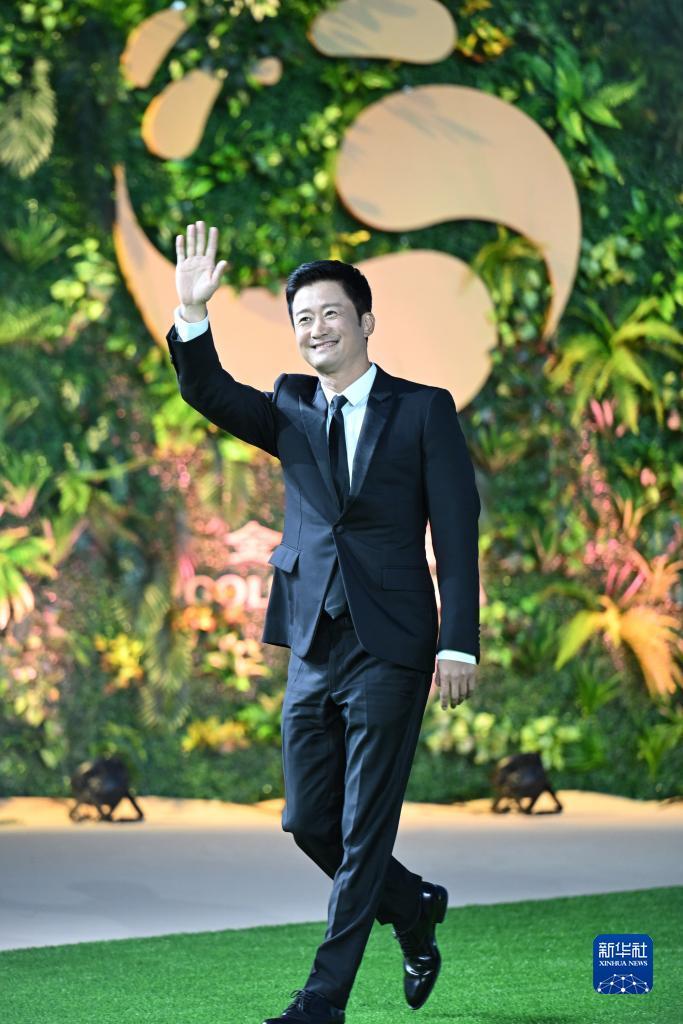 免费金花辅助神器